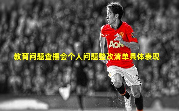 教育问题查摆会个人问题整改清单具体表现