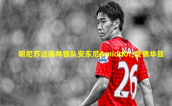 明尼苏达森林狼队安东尼·爱德华兹
