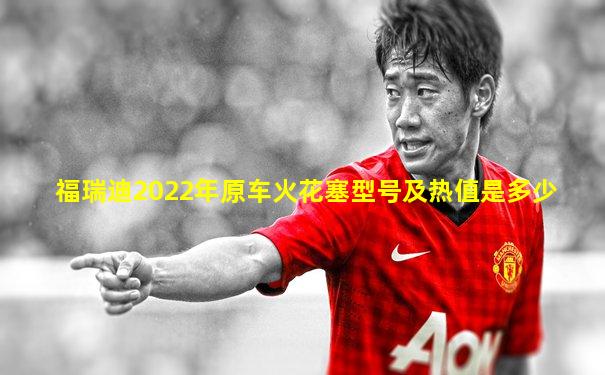 福瑞迪2022年原车火花塞型号及热值是多少