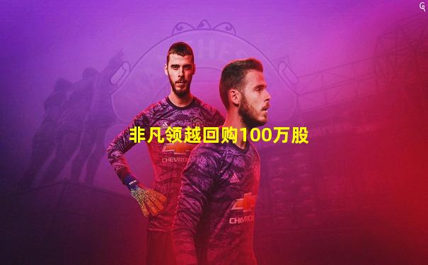 非凡领越回购100万股