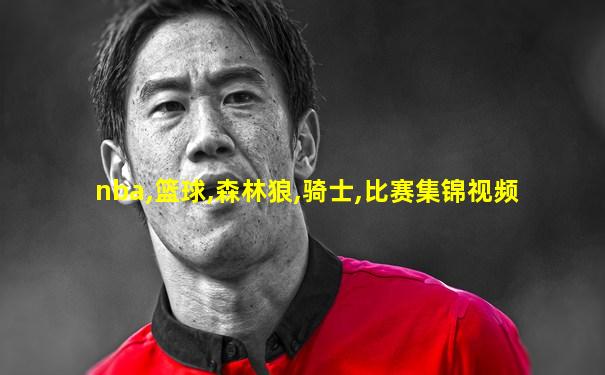 nba,篮球,森林狼,骑士,比赛集锦视频