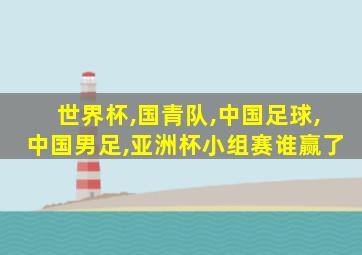 世界杯,国青队,中国足球,中国男足,亚洲杯小组赛谁赢了