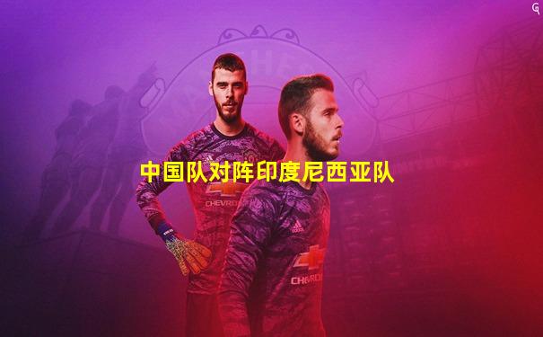 中国队对阵印度尼西亚队