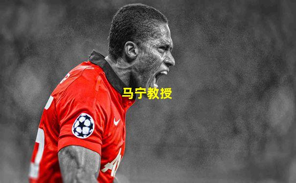 马宁教授
